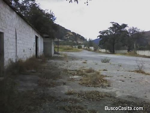 VENTA 6.14 MANZANAS ( 61,430 v2 ) km 28 CARR. AL ATLANTICO $ 8.75/Vr2