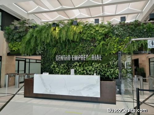 Oficina en Renta Zona 10 