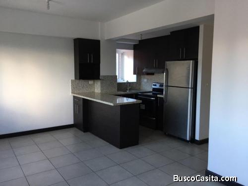 APARTAMENTO EN RENTA EN ZONA 16