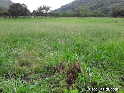 Finca en venta en San Benito Peten