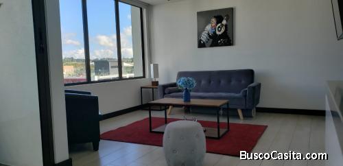 APARTAMENTO AMUEBLADO EN RENTA ZONA 15, VISTA HERMOSA I