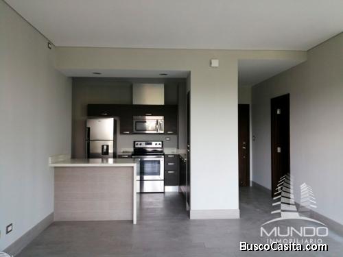 MUNDO INMOBILIARIO RENTA AMPLIO APARTAMENTO SEMI -AMUEBLADO TIPO ESTUDIO Z. 10