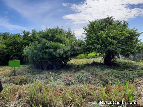Terreno en venta en Autopista Quetzal Km. 83