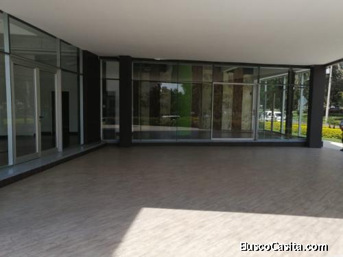 Local Comercial zona 13