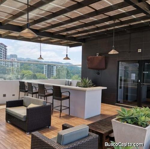 CityMax Gold Renta Apartamento en Zona 15
