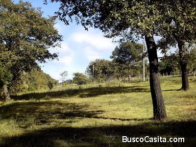 Terrenos en un ambiente agradable 