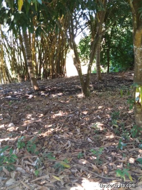 Terreno en renta en Carretera a Puerto Quetzal, Escuintla, Guatemala.