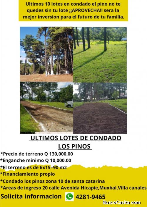 Últimos lotes 