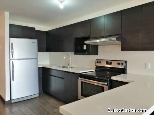 Apartamento en renta zona 10