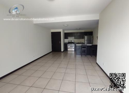 APARTAMENTO EN RENTA ZONA 9, TORRE BARCELONA.