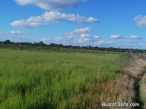 Finca, las cruces peten