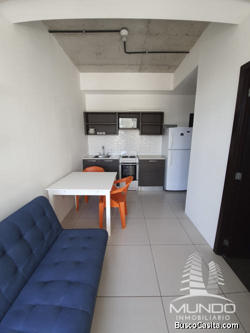 APARTAMENTO AMUEBLADO EN RENTA EN ZONA 4 / MUNDO INMOBILIARIO