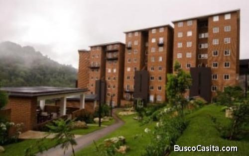 Renta apartamento en zona 16