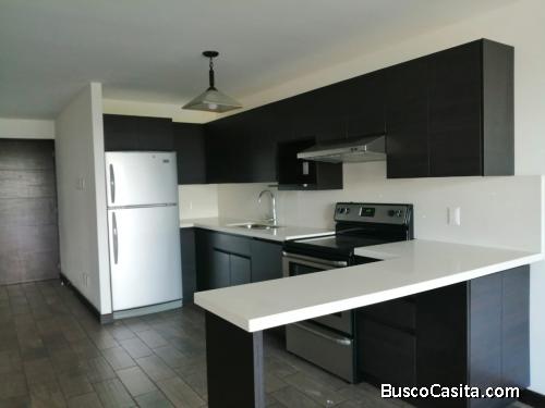Apartamento en renta y venta  zona 10