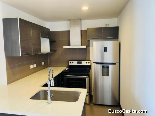 Apartamento en renta zona 10 