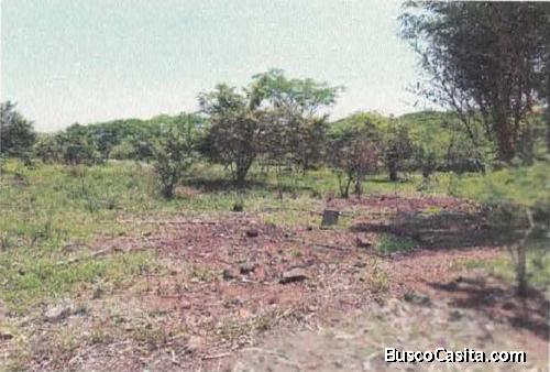 Terreno industrial VENTA km. 66 ruta Taxisco Escuintla