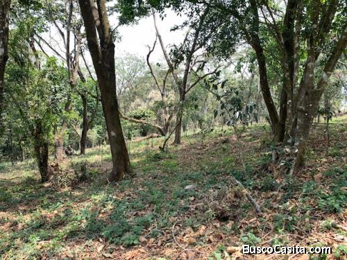 VENTA Terreno 8 manzanas km 26.5 a Santa Elena Barillas