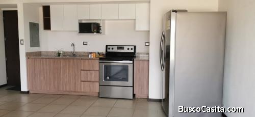 APARTAMENTO EN RENTA EN ZONA 12 / MUNDO INMOBILIARIO