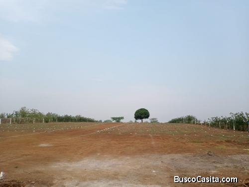 VENTA DE LOTES EN CUYOTENANGO