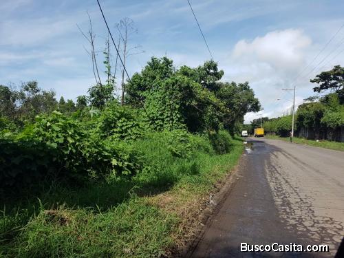 Terreno para desarrollo sobre carretera, totalmente plano 