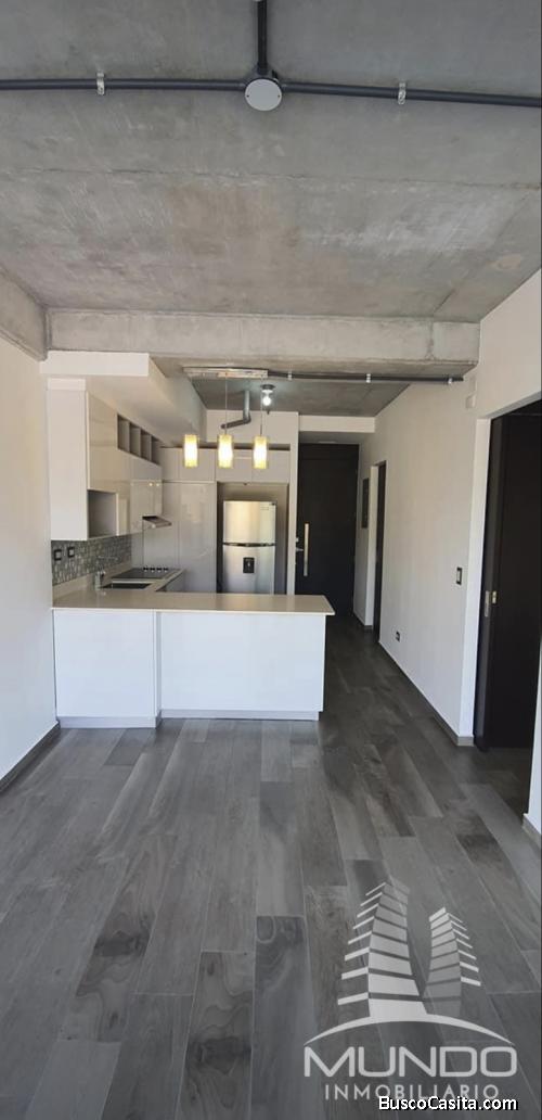 APARTAMENTO EN RENTA EN ZONA 16