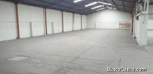 Bodega en Renta Zona 8 La Reformita
