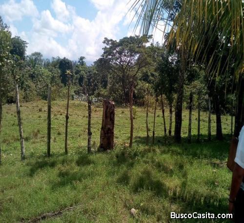 Terreno en venta Morales Izabal