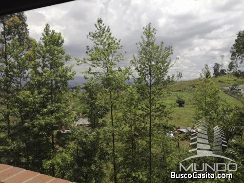 APARTAMENTO EN RENTA ZONA 16/MUNDO INMOBILIARIO 