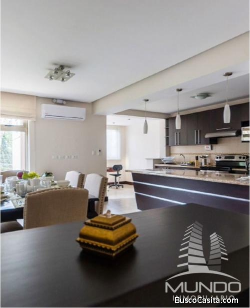 APARTAMENTO TIPO VILLA EN RENTA ZONA 10