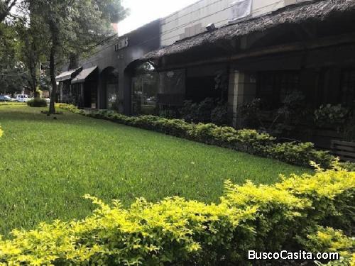 Local en Alquiler sobre Avenida Reforma zona 9