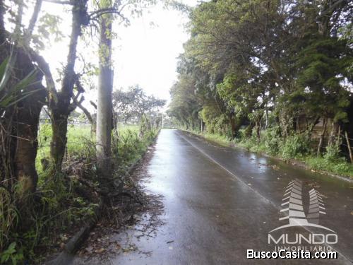 VENTA DE TERRENO PARA INVERSION CAMINO A SANTA ELENA BARILLAS