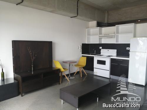 APARTAMENTO AMUEBLADO EN RENTA EN 4 GRADOS NORTE