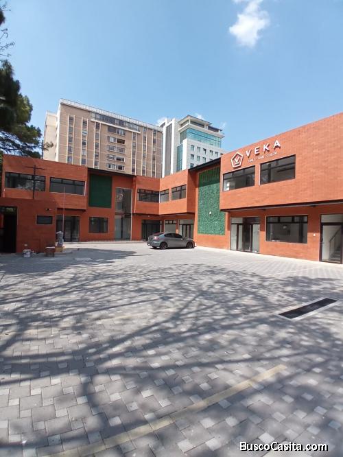Locales Comerciales en Renta, Zona 10