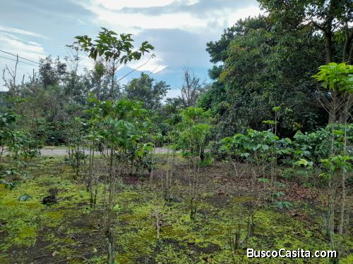 VENDO TERRENO RESIDENCIAL EN PORTAL DE LAS ROSAS II, SAN MIGUEL DUEÑAS