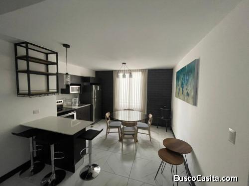 RENTO APARTAMENTO ZONA 15 VISTA HERMOSA II