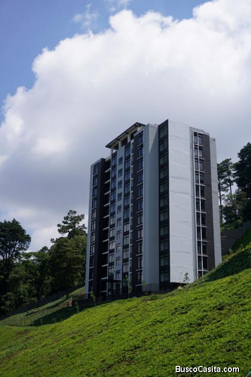 Renta de Apartamento en Zona 16.