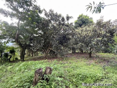 Terreno en venta en San Cristobal El Alto