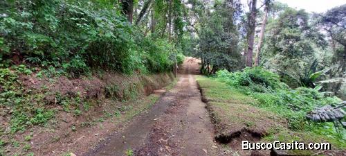 CityMax Antigua vende terreno en Granjas Jardín el Alto