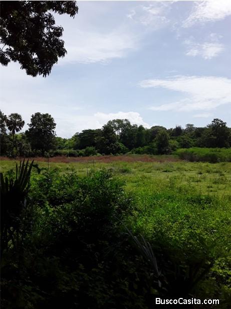 Terreno en Venta en Zacapa 