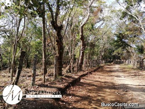 Terreno en Venta en Carretera a El Salvador