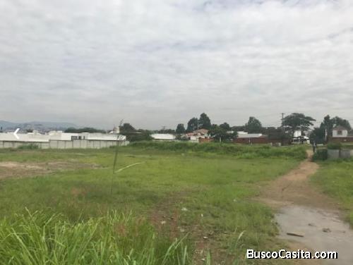 CityMax Gold vende terreno en C.C. Los Álamos