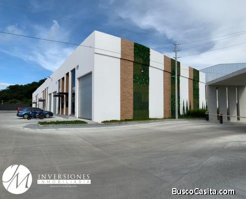 Ofibodega en Renta en El Naranjo 