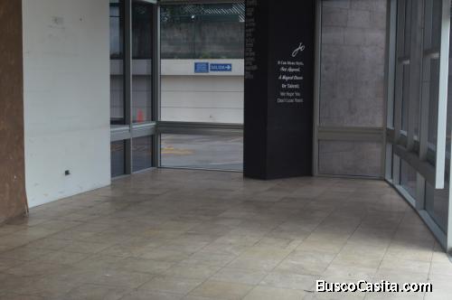 ALQUILER local en primer nivel Edificio Oficinas z. 15