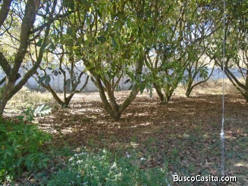 CityMax Antigua Vende Terreno en residencial Santo Tomas Milpas Altas