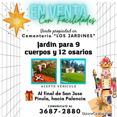 Invierte tu dinero sabiamente