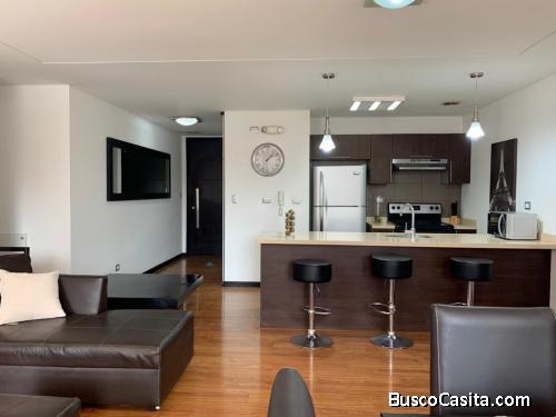 APARTAMENTO AMUEBLADO EN EL SECTOR MAS EXCLUSIVO DE ZONA 14