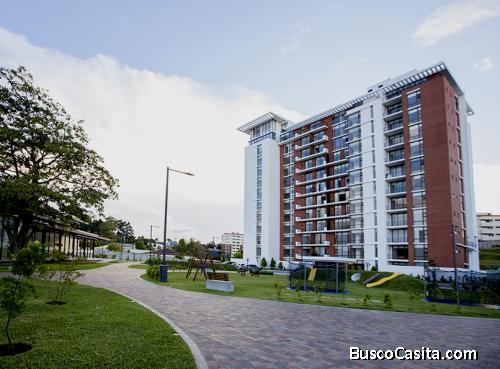 AlQUILO  APARTAMENTO  SAN ISIDRO 2021, ZONA 16 