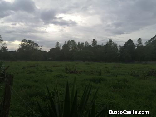 MUNDO INMOBILIARIO VENNDE TERRENO CARRETERA A SANTA ELENA BARILLAS 