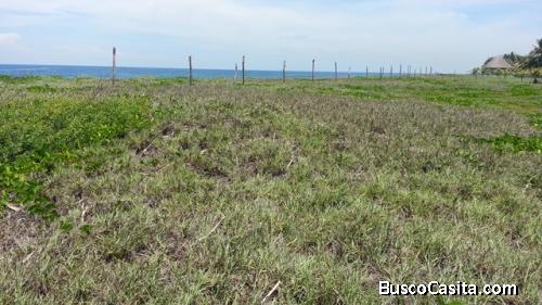 Terreno a orilla de playa en Monte Rico 12,800v2  $35  v2