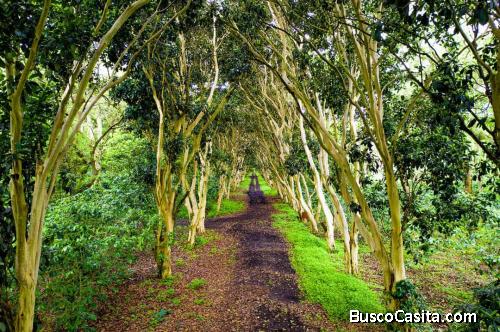 Aprovecha hoy disfruta mañana. Llama 35872530 Edwin Hernandez asesor de ventas.